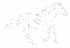 Horse | FREE AUTOCAD BLOCKS