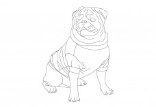 Pug | FREE AUTOCAD BLOCKS