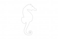 Seahorse | FREE AUTOCAD BLOCKS