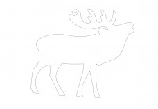 Moose | FREE AUTOCAD BLOCKS