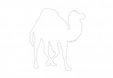 Camel | FREE AUTOCAD BLOCKS