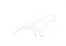 Free Bird CAD Block – DWG, DXF, PDF Format | FREE AUTOCAD BLOCKS