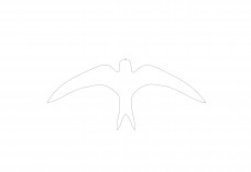 Bird | FREE AUTOCAD BLOCKS