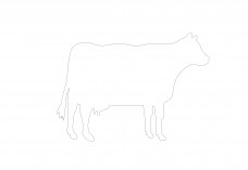 Free Cow CAD Block – DWG, DXF, PDF Format | FREE AUTOCAD BLOCKS