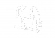 Free Horse CAD Block – DWG, DXF, PDF Format | FREE AUTOCAD BLOCKS