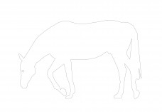 Free Horse CAD Block – DWG, DXF, PDF Format | FREE AUTOCAD BLOCKS
