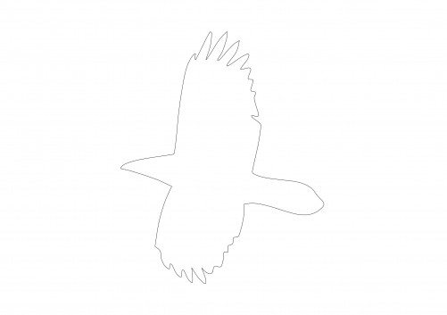 Small Bird | FREE AUTOCAD BLOCKS