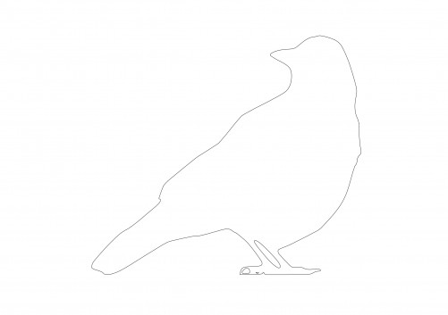 pigeon latin pipio -onis - LAROUSSE