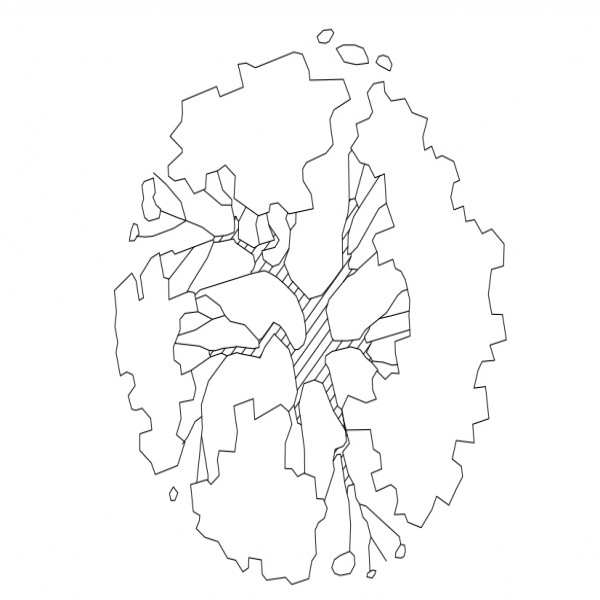 FREE TREE TOP VIEW CAD BLOCK – DWG, DXF, PDF FORMAT | FREE CADS