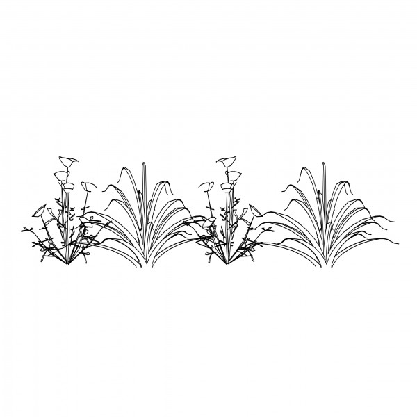 plant-elevation-free-cads