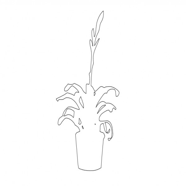 PLANT ELEVATION | FREE CADS