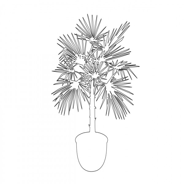 PLANT ELEVATION | FREE CADS