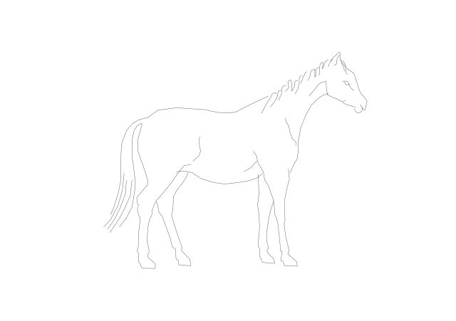 Free Horse CAD Block – DWG, DXF, PDF Format