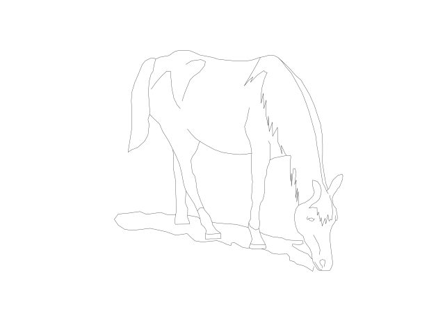 Free Horse CAD Block – DWG, DXF, PDF Format