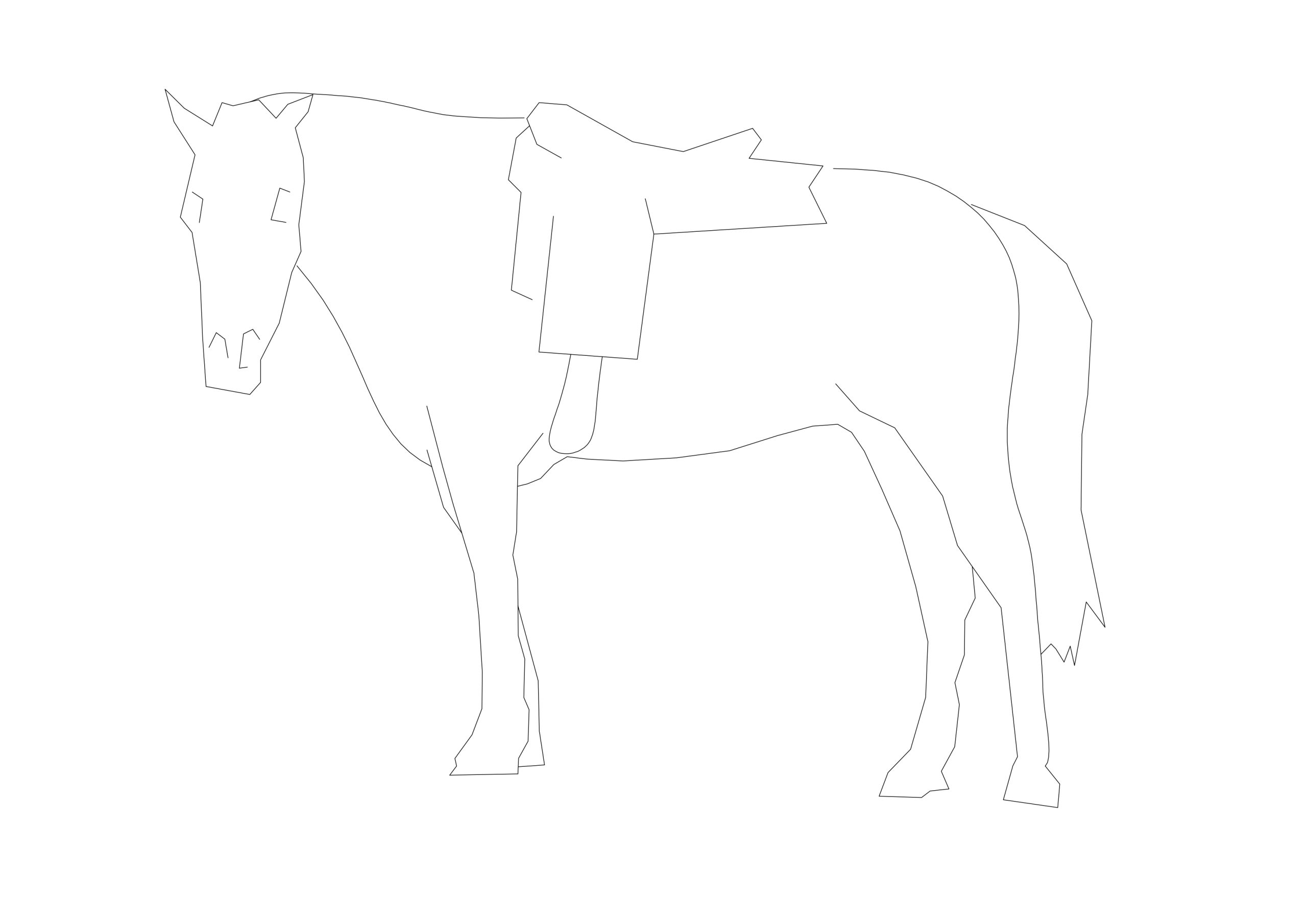 Free Horse CAD Block – DWG, DXF, PDF Format