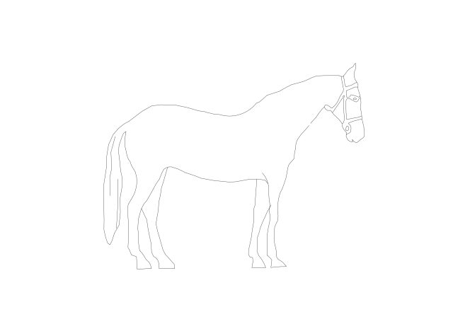 Free Horse CAD Block – DWG, DXF, PDF Format