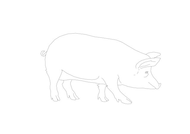 Free Sow Pig CAD Block – Detailed Side View