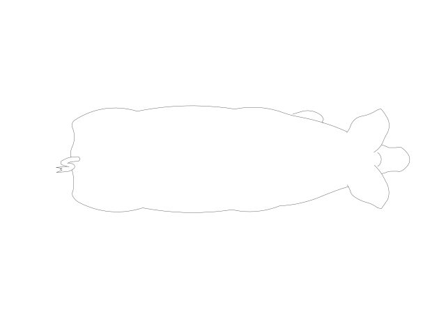 Free Pig CAD Block – Top View Plan