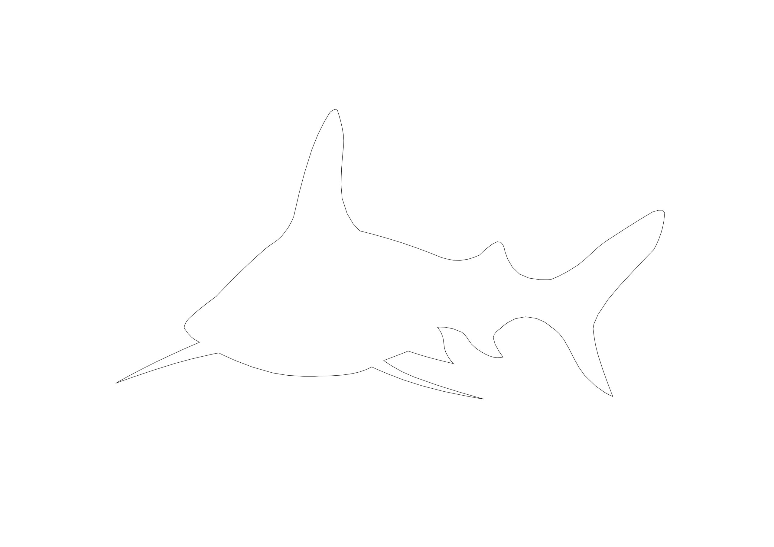 Free Exotic Shark Silhouette CAD Block