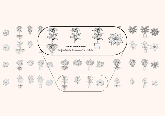FREE Architectural Plants CAD Bundle – Clean Elevation and Top View & Landscape Line Drawings (DWG, PDF, PNG)