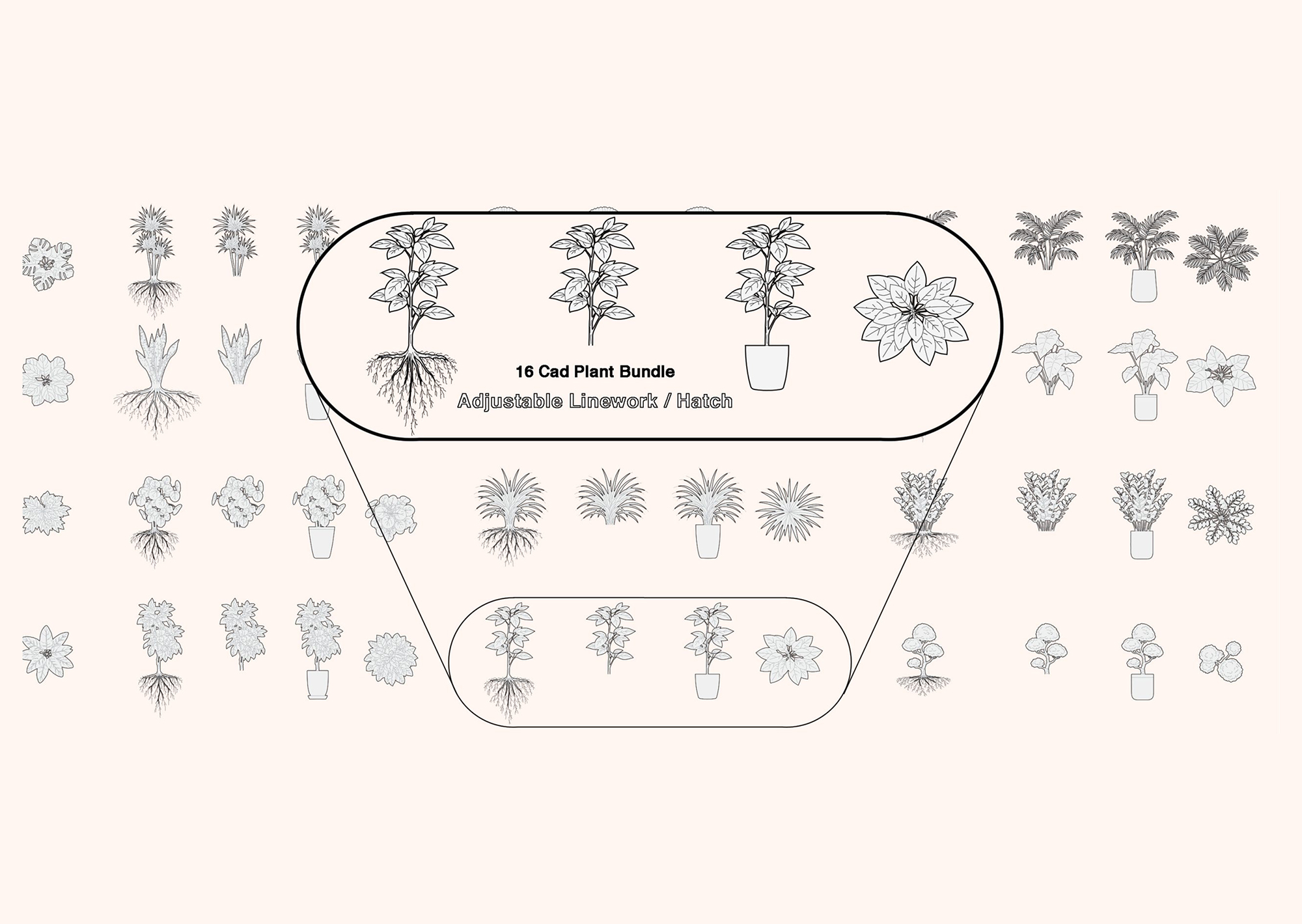 FREE Architectural Plants CAD Bundle – Clean Elevation and Top View & Landscape Line Drawings (DWG, PDF, PNG)