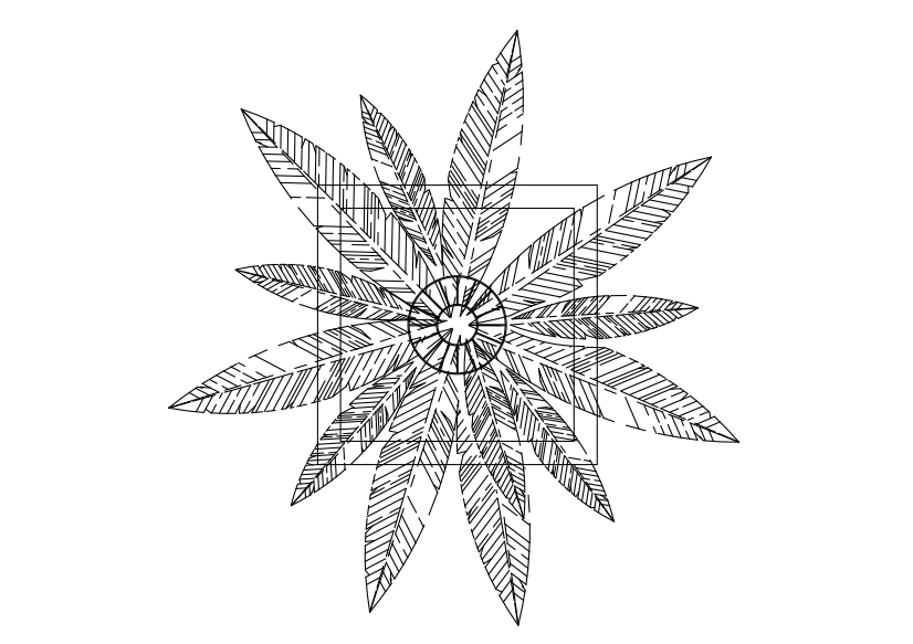 Free Plant Top View CAD Block – DWG, DXF, PDF Format