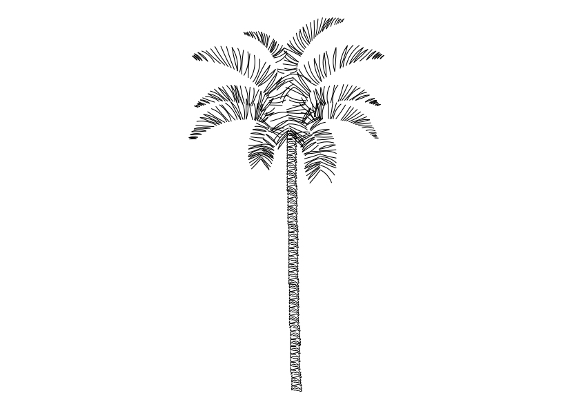 Free Palm Tree Elevation CAD Block – DWG, DXF, PDF Format