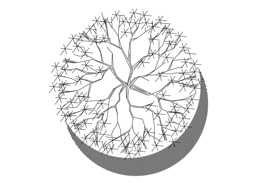 Free Tree Top View CAD Block – DWG, DXF, PDF Format