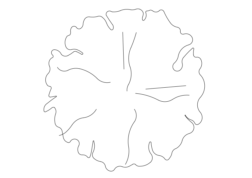 Free Tree Top View CAD Block – DWG, DXF, PDF Format