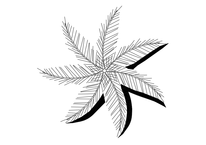 Free Palm Tree Top View CAD Block – DWG, DXF, PDF Format