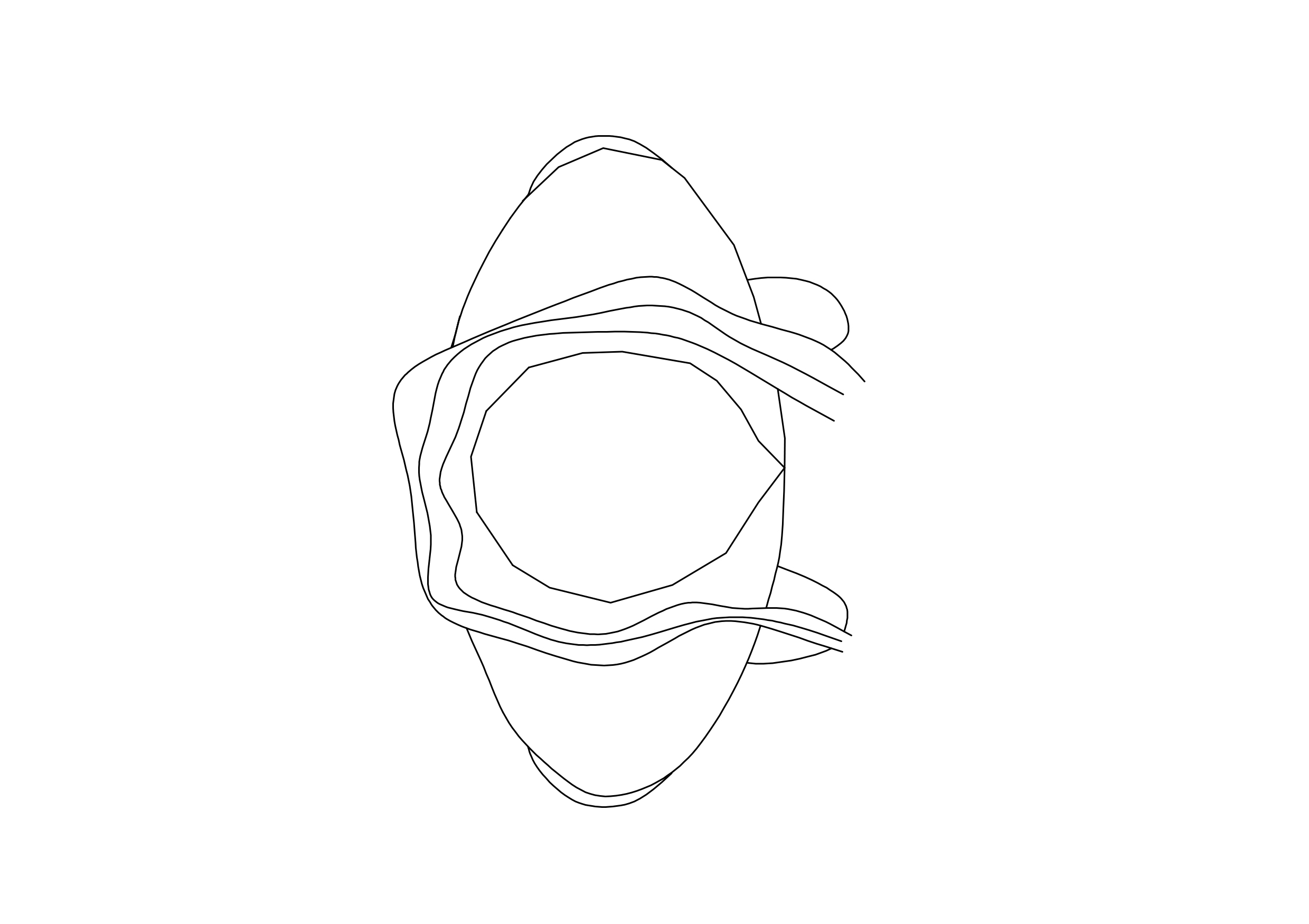 Free Person Standing Top View CAD Block – DWG, DXF, PDF Format