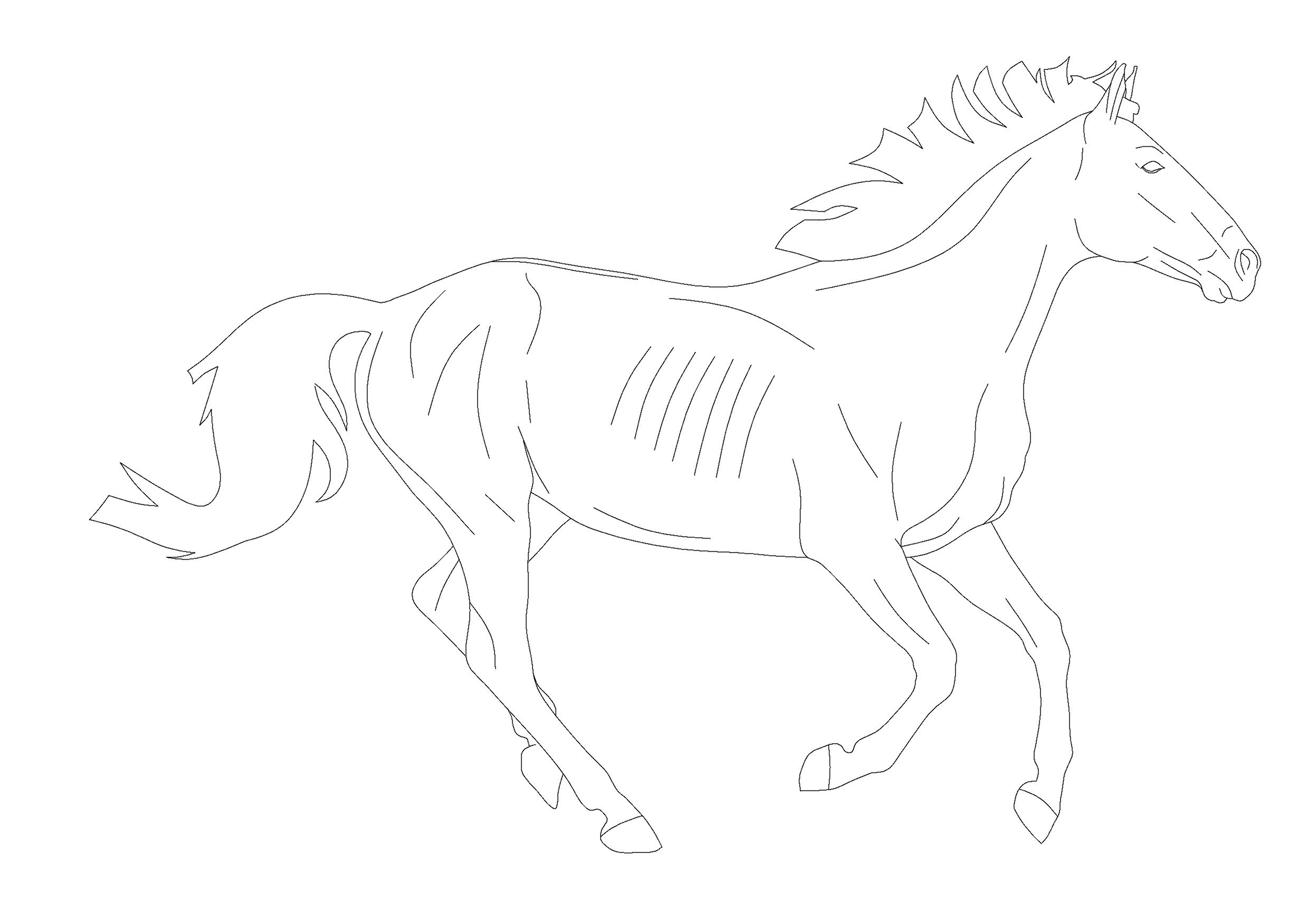 Free Horse CAD Block – DWG, DXF, PDF Format