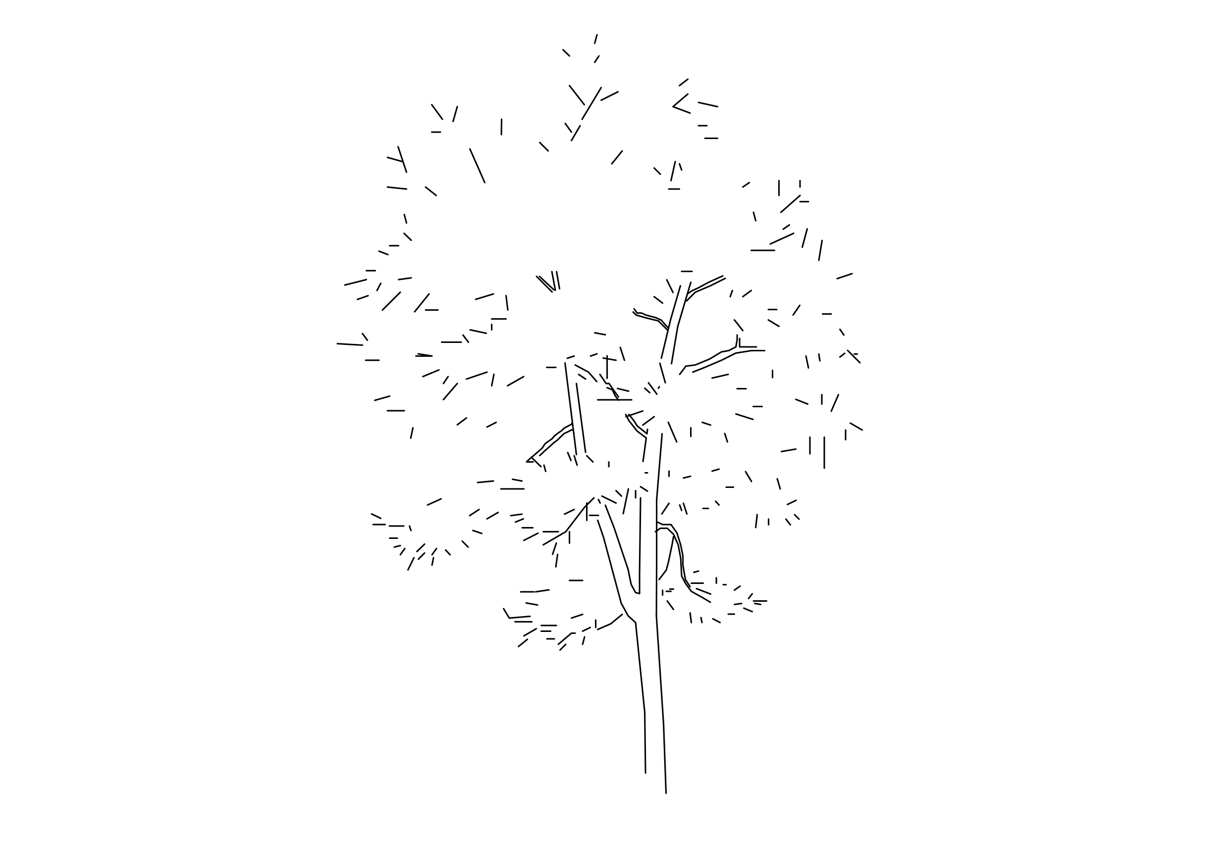 Free Tree Elevation CAD Block – DWG, DXF, PDF Format