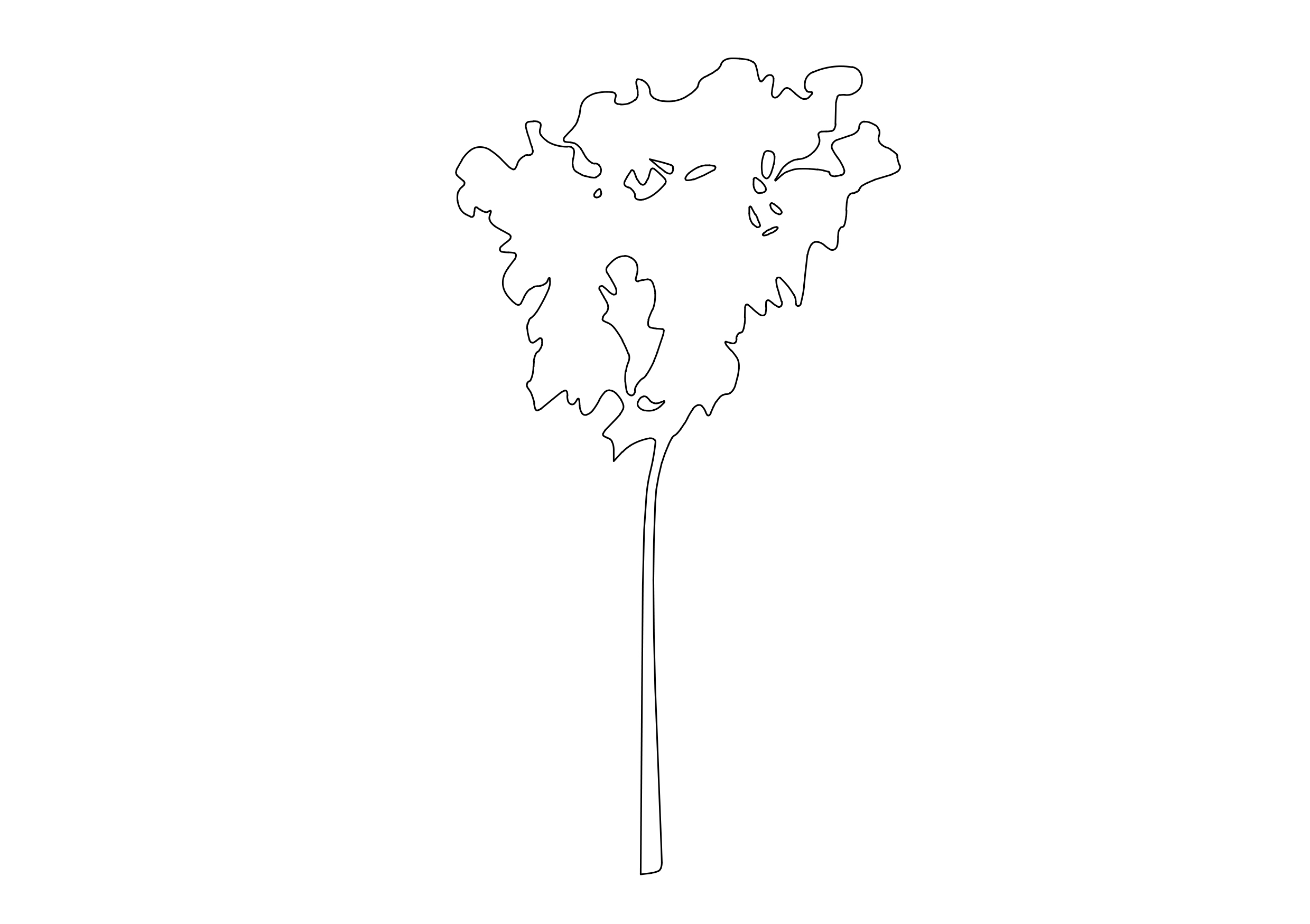 Free Tree Elevation CAD Block – DWG, DXF, PDF Format