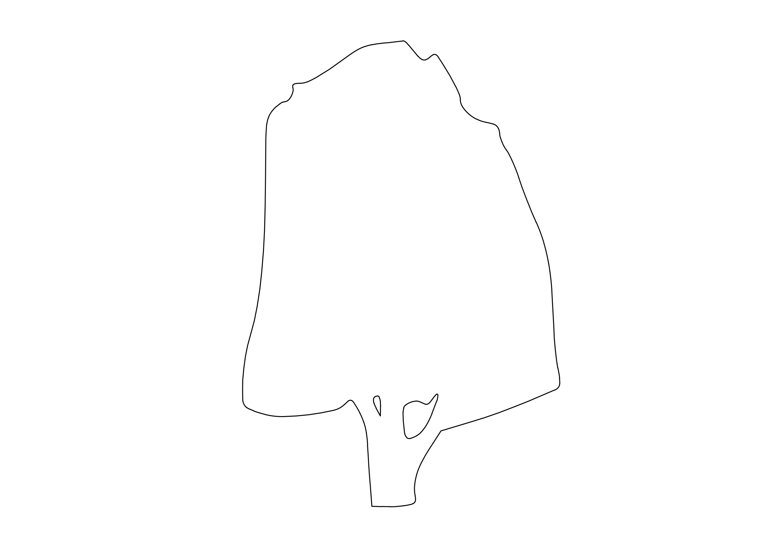 Free Tree Elevation CAD Block – DWG, DXF, PDF Format