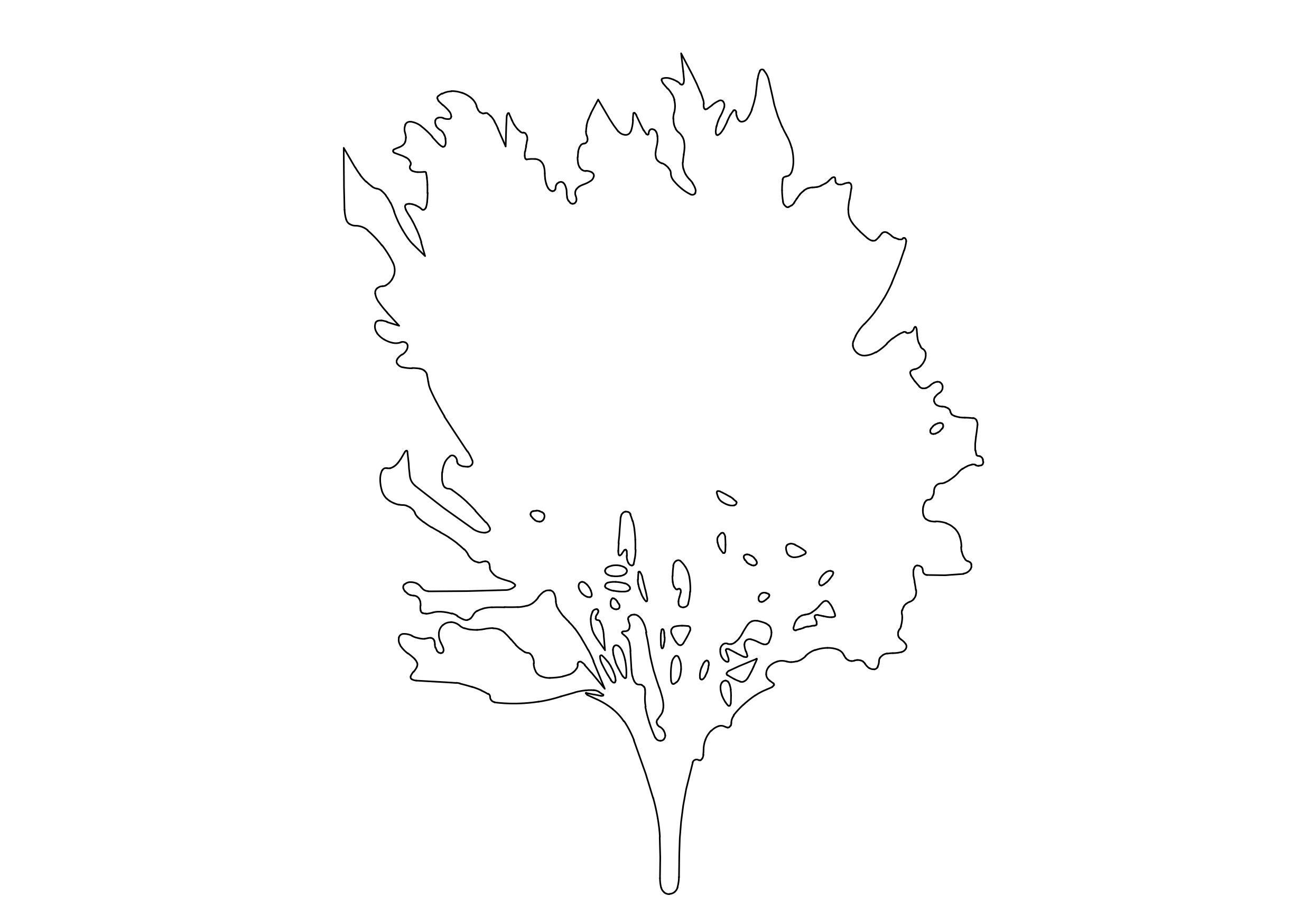 Free Tree Elevation CAD Block – DWG, DXF, PDF Format