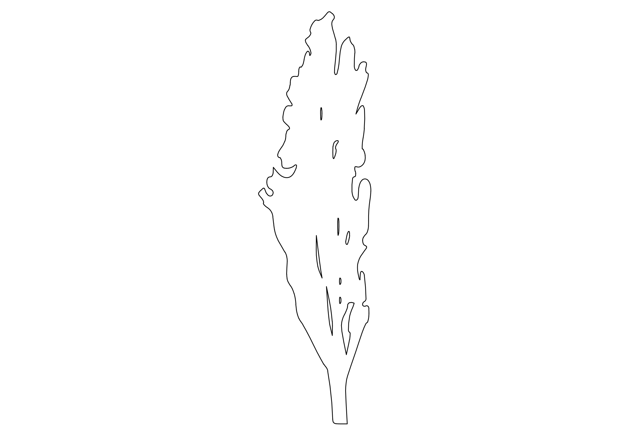 Free Tree Elevation CAD Block – DWG, DXF, PDF Format