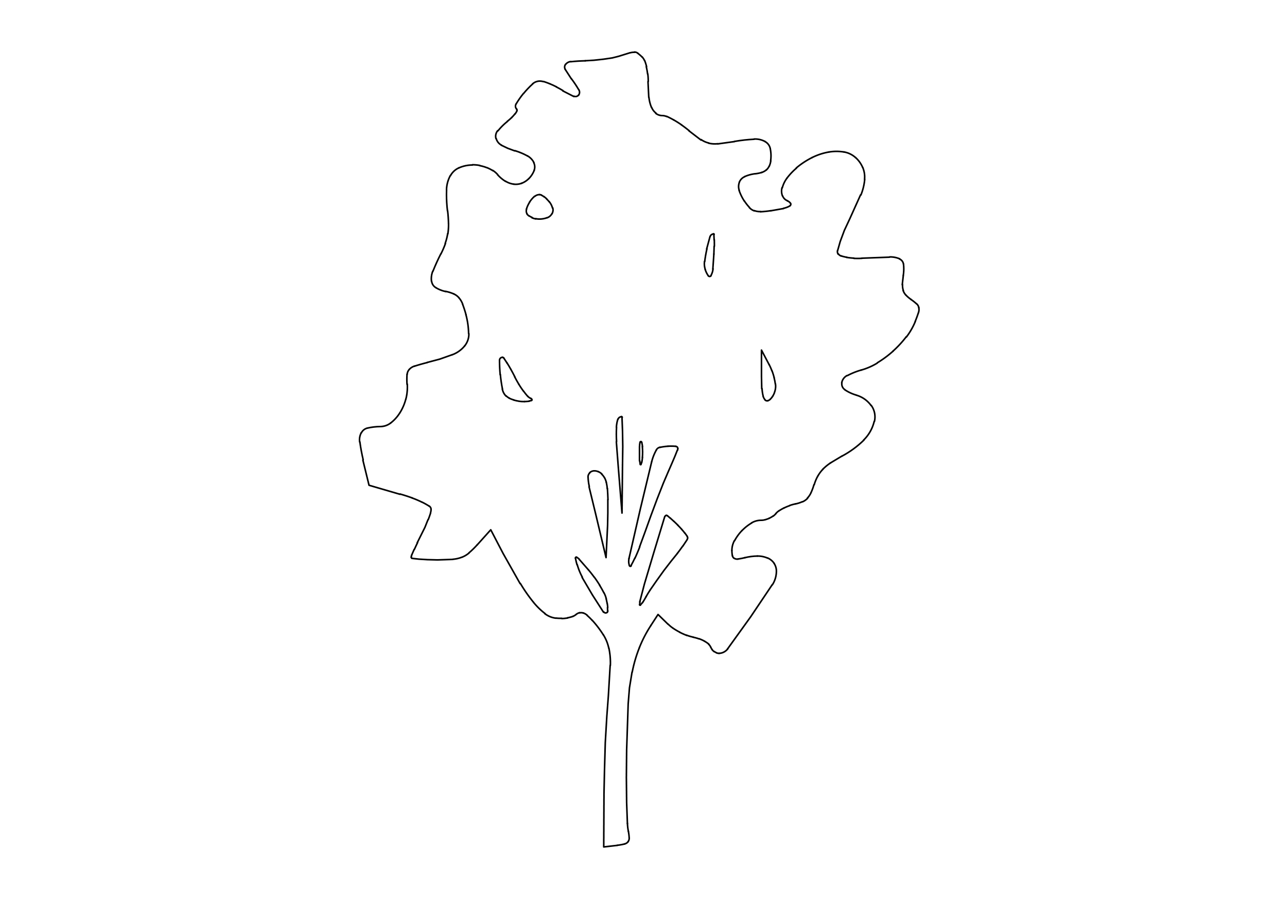 Free Tree Elevation CAD Block – DWG, DXF, PDF Format