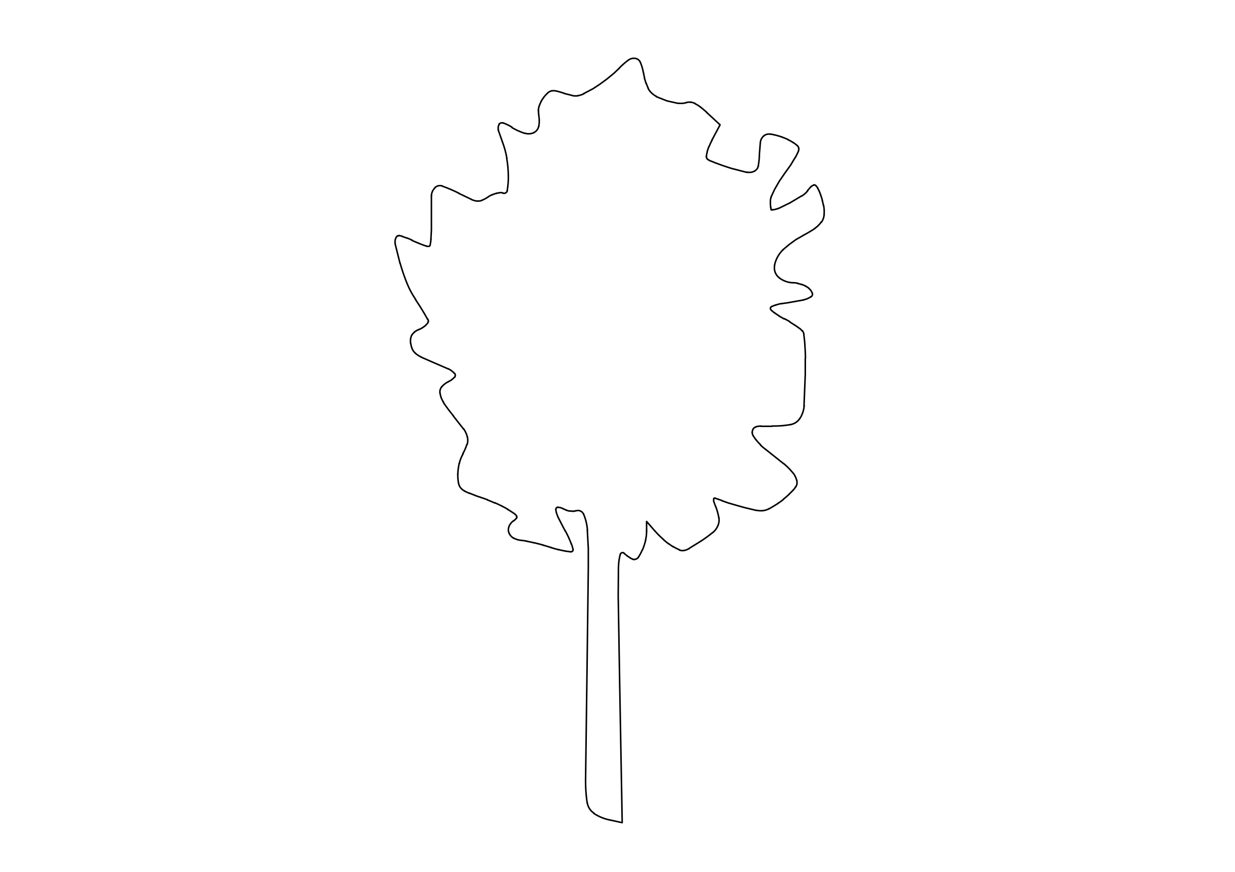 Free Tree Elevation CAD Block – DWG, DXF, PDF Format