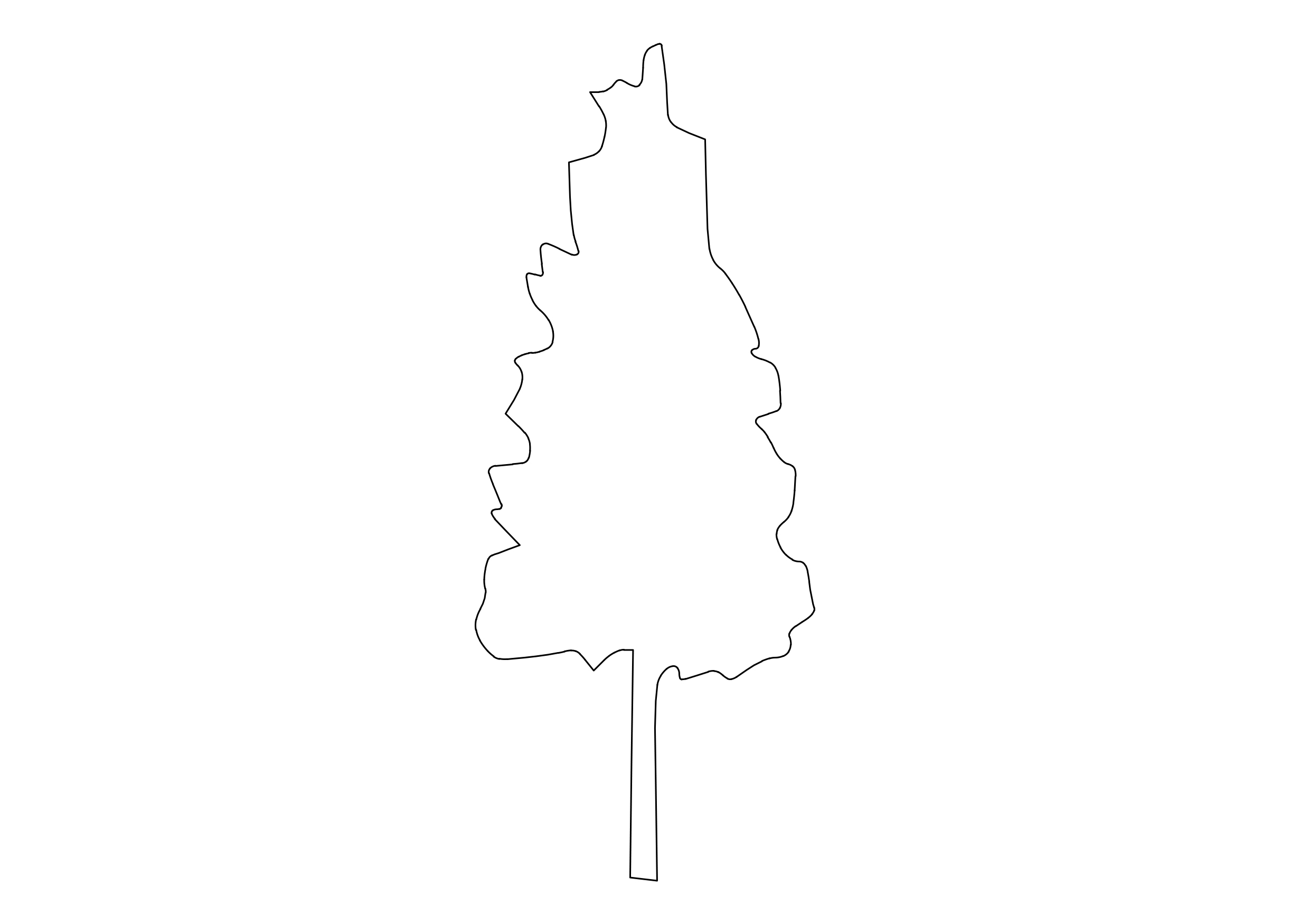 Free Tree Elevation CAD Block – DWG, DXF, PDF Format