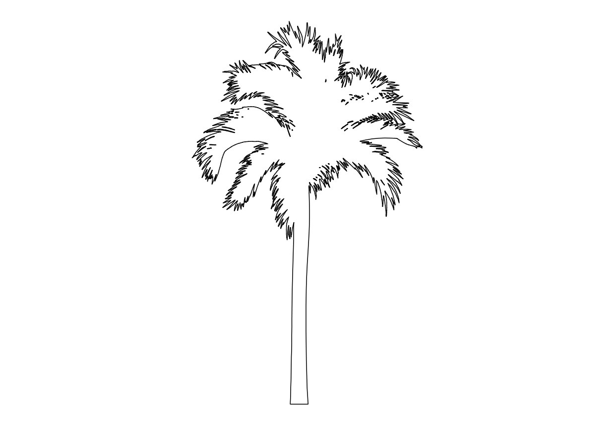 Free Palm Tree Elevation CAD Block – DWG, DXF, PDF Format