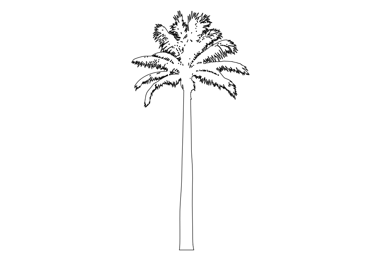 Free Palm Tree Elevation CAD Block – DWG, DXF, PDF Format