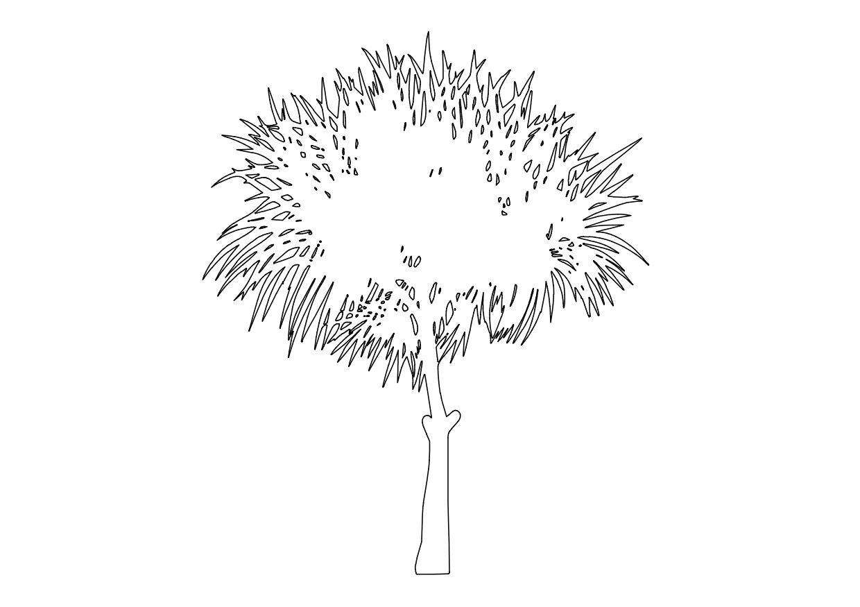 Free Tree Elevation CAD Block – DWG, DXF, PDF Format