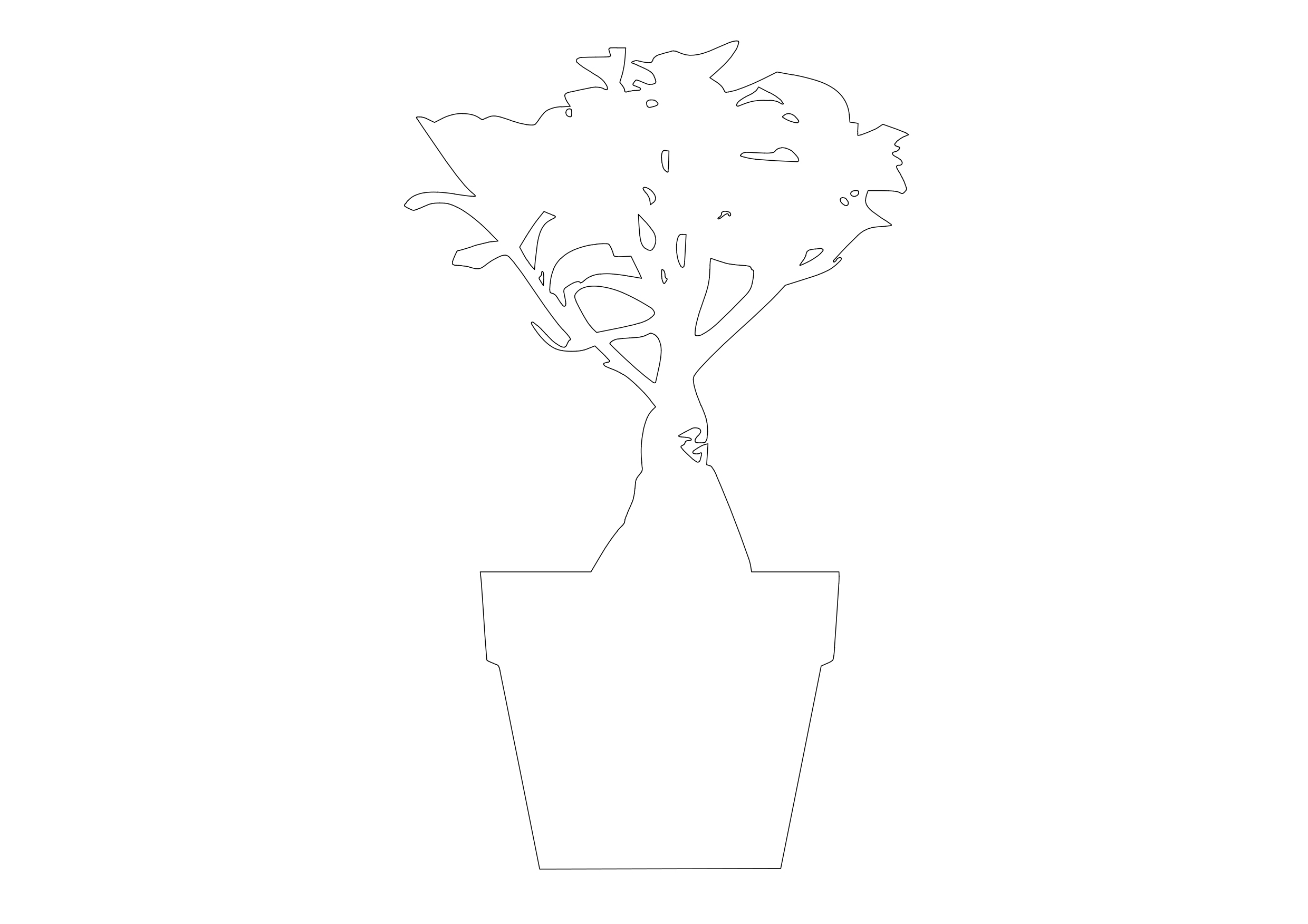 Free Plant Elevation CAD Block – DWG, DXF, PDF Format