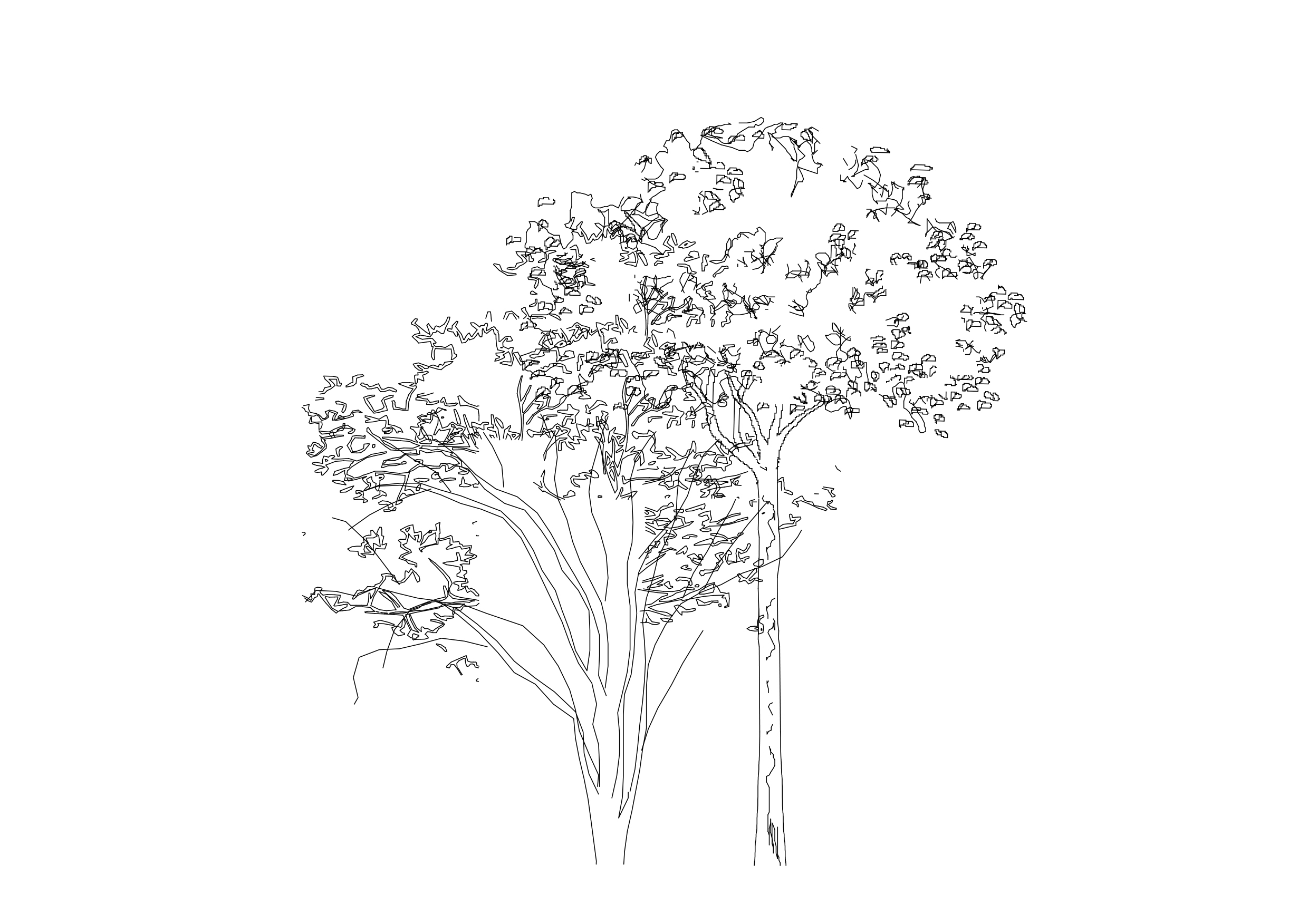 Free Tree Elevation CAD Block – DWG, DXF, PDF Format