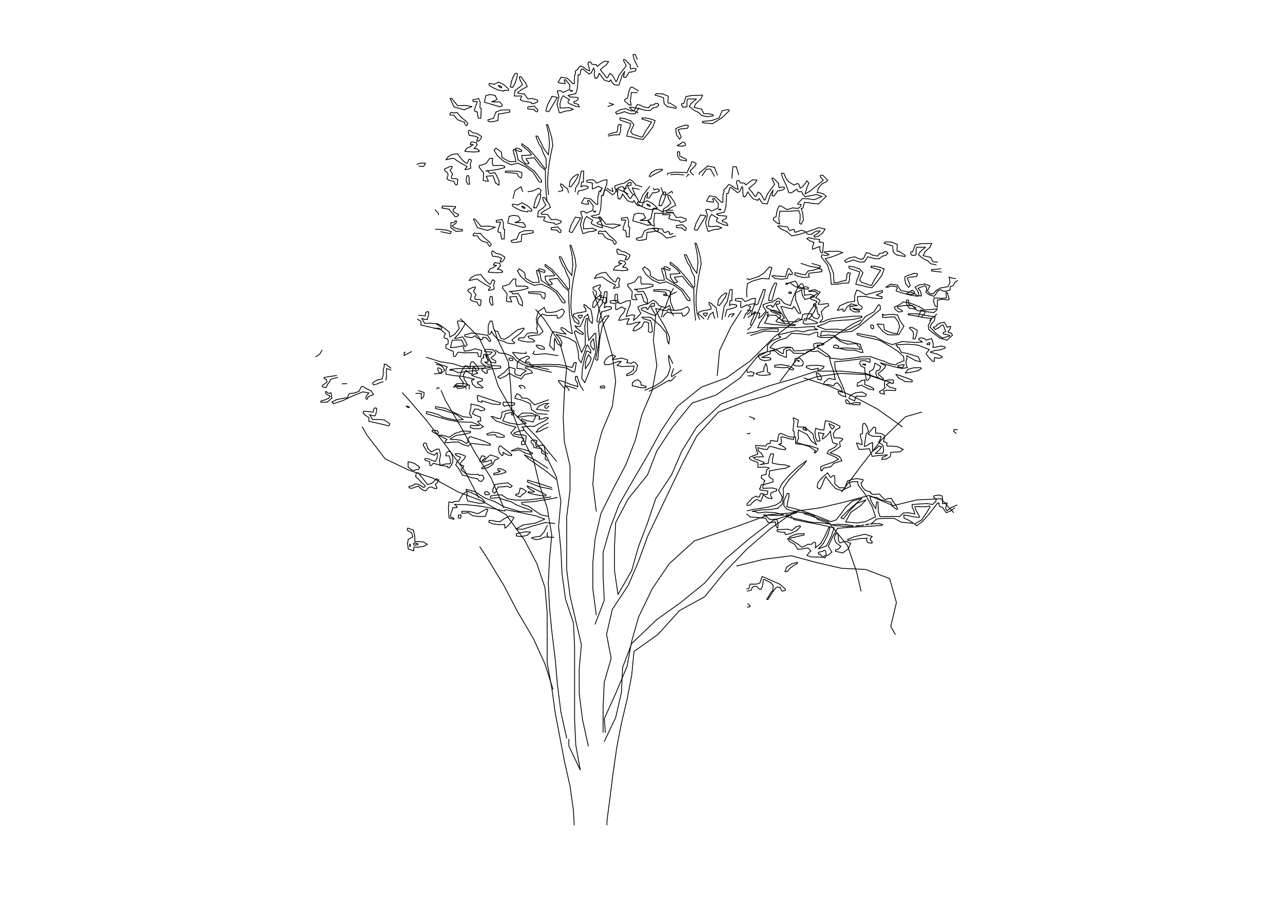 Free Tree Elevation CAD Block – DWG, DXF, PDF Format
