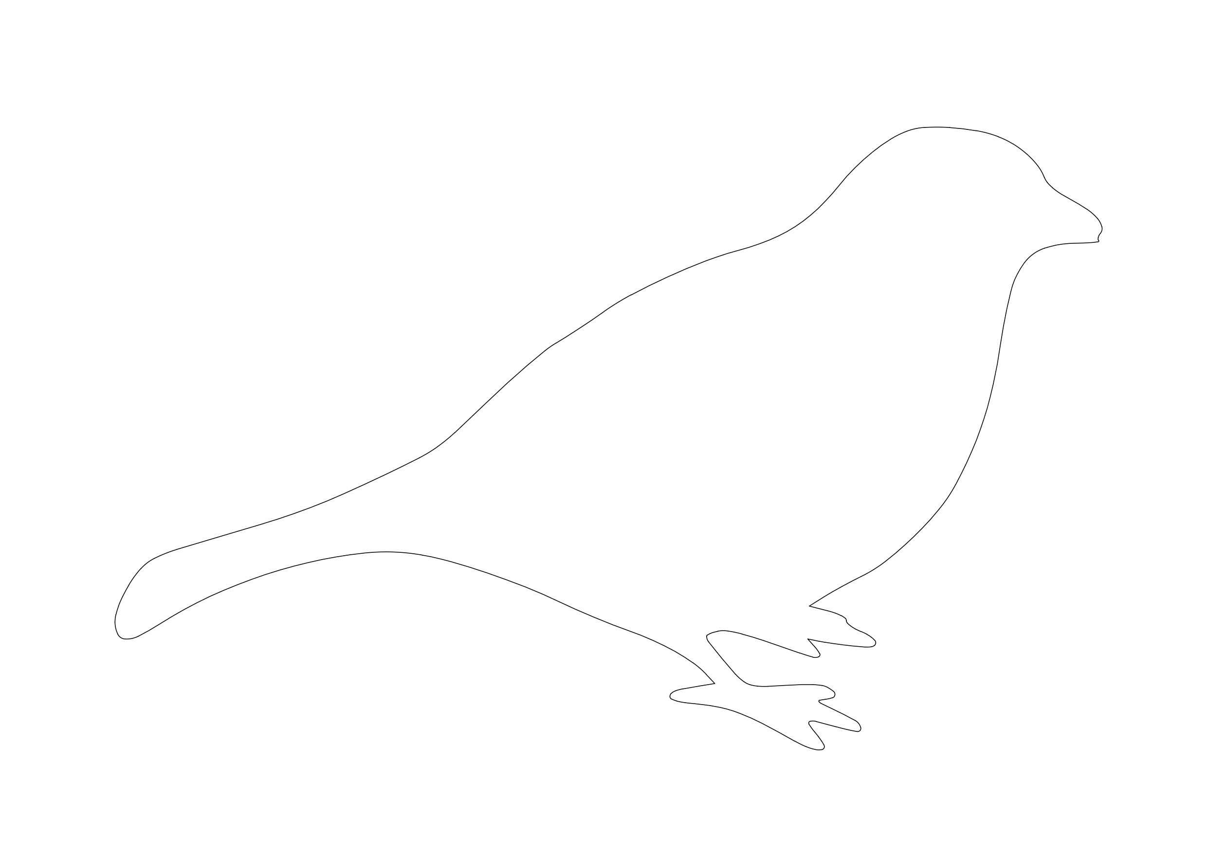 Free Pigeon CAD Block – DWG, DXF, PDF Format