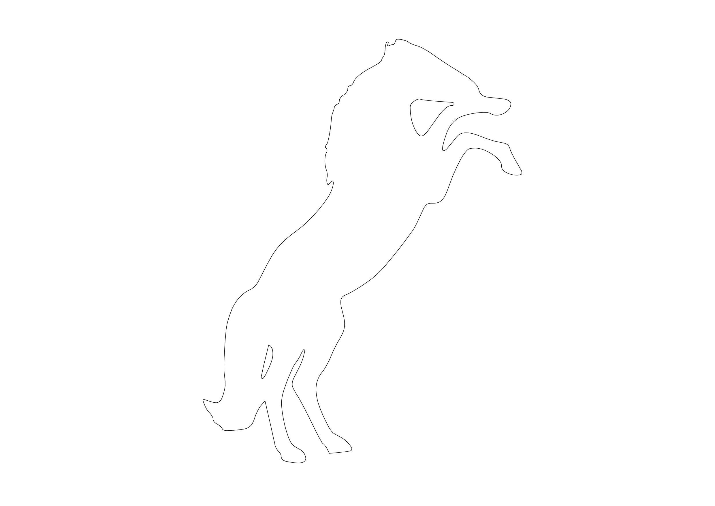 Free Horse CAD Block – DWG, DXF, PDF Format