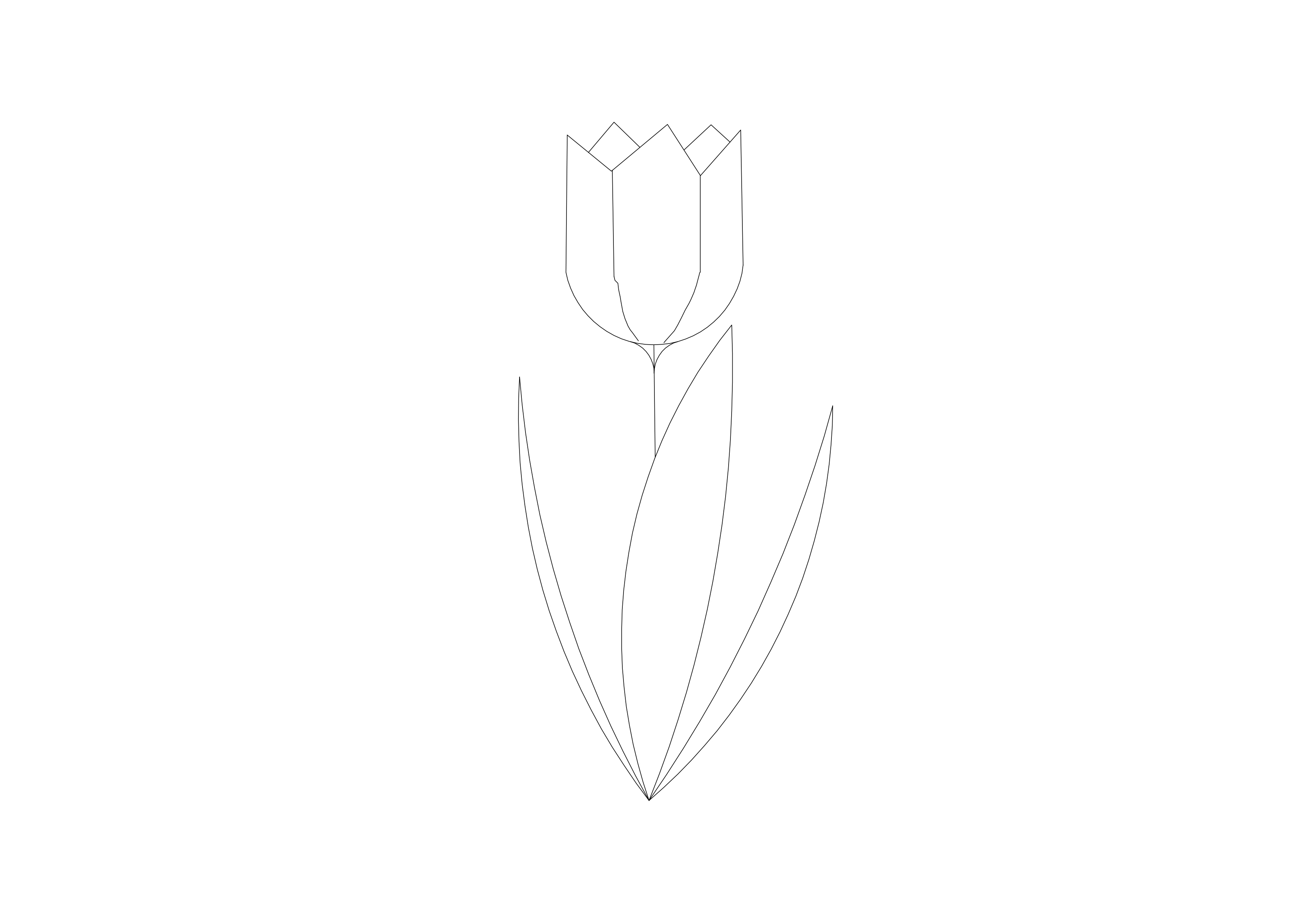 Free Plant Elevation CAD Block – DWG, DXF, PDF Format