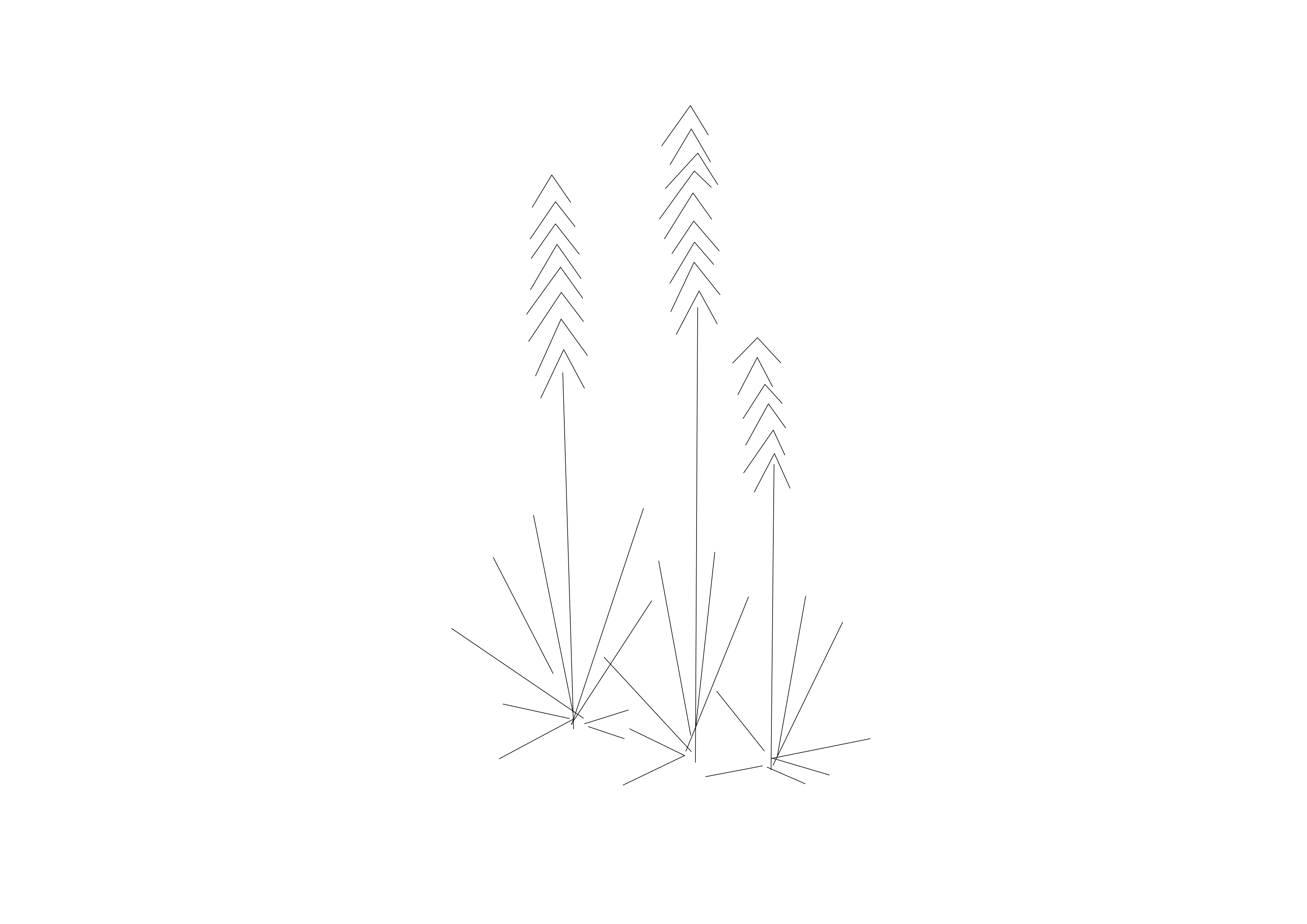 Free Plant Elevation CAD Block – DWG, DXF, PDF Format